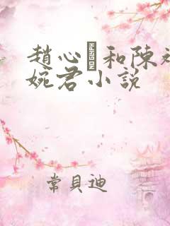 赵心睸和陈斌高婉君小说