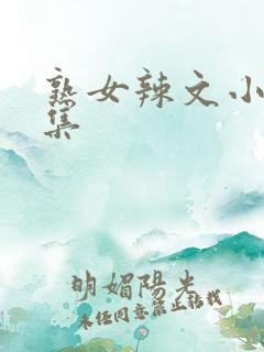 熟女辣文小说合集 熟女辣文小说合集