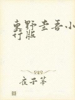 东野圭吾小说排行版 东野圭吾小说排行版