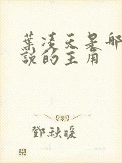 叶凌天是哪部小说的主角