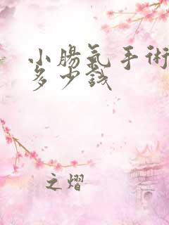 小肠气手术需要多少钱 小肠气手术需要多少钱