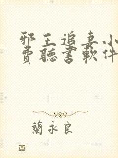 邪王追妻小说免费听书软件
