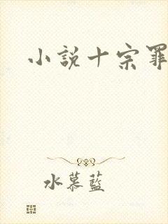 小说十宗罪