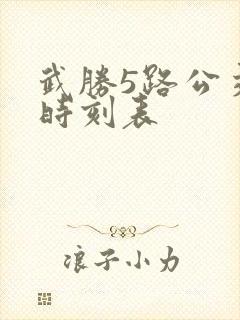 武胜5路公交车时刻表