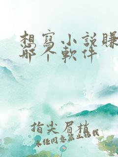 想写小说赚钱去哪个软件