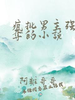 疯批男主强取豪夺的小说