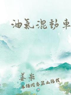 油气混动车