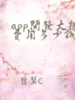 app开发大概费用多少钱