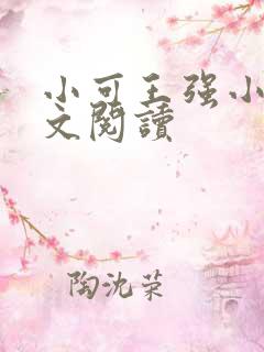 小可王强小说全文阅读