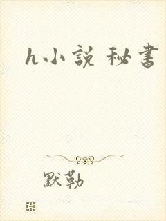 h小说 秘书
