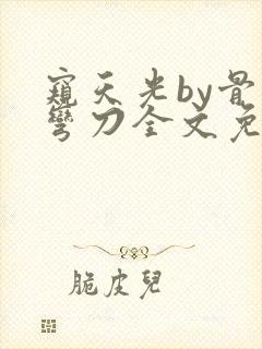 窥天光by骨色弯刀全文免费阅读笔趣阁