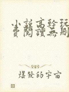 小说高干玩物免费阅读无删减版
