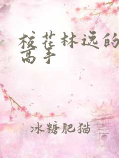 校花林逸的贴身高手