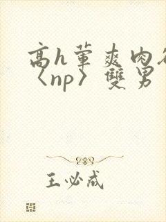 高h荤爽肉欲文〈np〉双男
