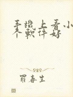 手机上看小说哪个软件好