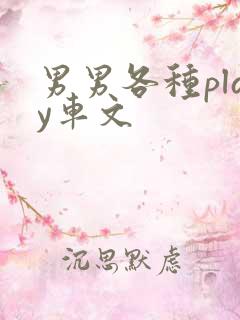 男男各种play车文