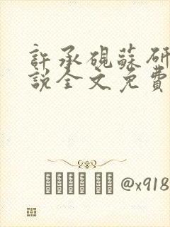 许承砚苏研雅小说全文免费阅读最新 许承砚苏研雅小说全文免费阅读最新