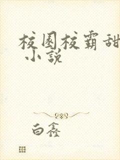校园校霸甜宠文 小说