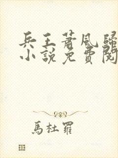 兵王萧风归来 小说免费阅读
