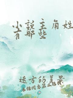 小说主角姓苏的有哪些