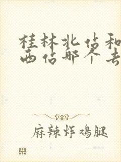 桂林北站和桂林西站哪个去漓江方便