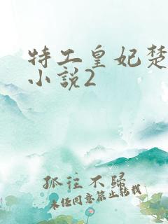 特工皇妃楚乔传小说2