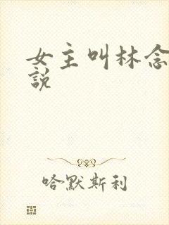 女主叫林念的小说