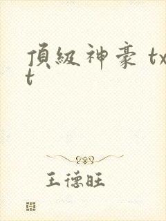顶级神豪 txt