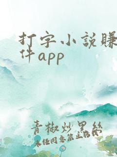 打字小说赚钱软件app
