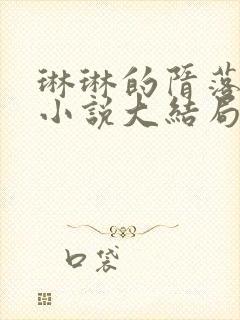 琳琳的隋落日纪小说大结局