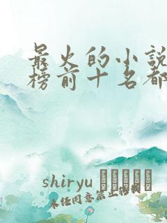 最火的小说排行榜前十名都市