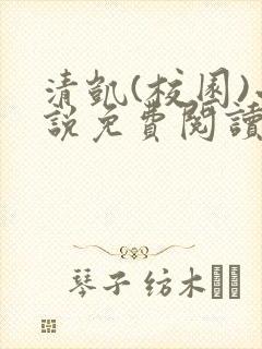 清凯(校园)小说免费阅读