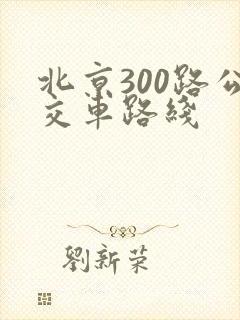 北京300路公交车路线