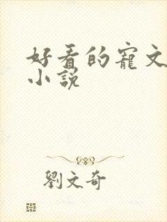 好看的宠文甜文小说