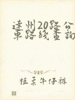 达州20路公交车路线查询