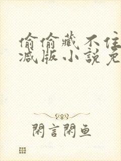偷偷藏不住无删减版小说免费