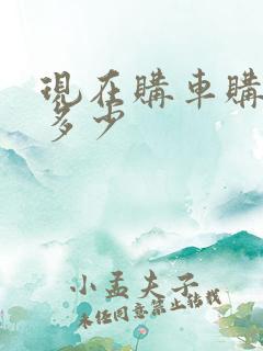 现在购车购置税多少