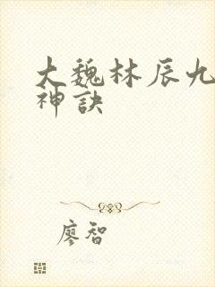 大魏林辰九天斩神诀