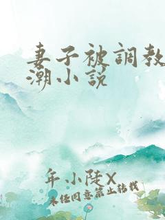 妻子被调教到高潮小说