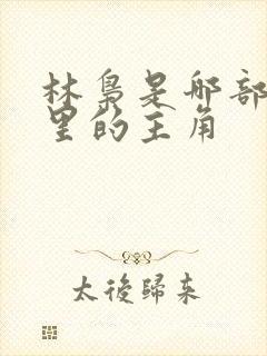 林枭是哪部小说里的主角 林枭是哪部小说里的主角