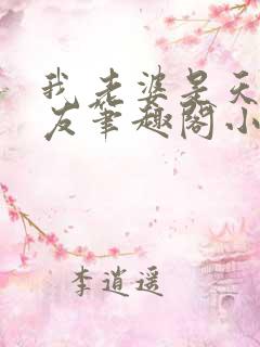 我老婆是天后张友笔趣阁小说