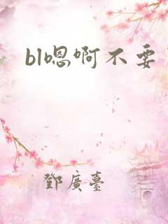 bl嗯啊不要了