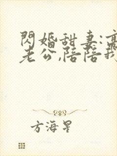 闪婚甜妻:高冷老公,陪陪我