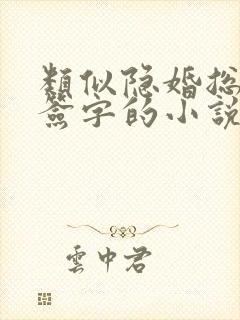 类似隐婚总裁请签字的小说