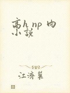 高h np 肉小说