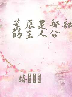 叶辰是哪部小说的主人公