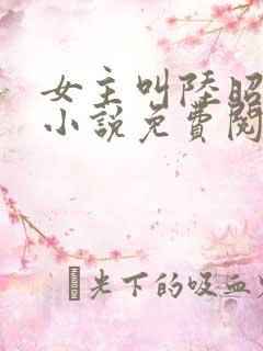 女主叫陆昭菱的小说免费阅读