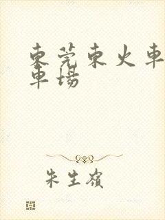 东莞东火车站停车场
