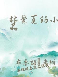 林觉夏的小说作品