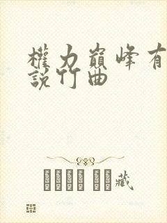权力巅峰有声小说竹曲
